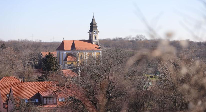 Verebi választás: új fejlemények