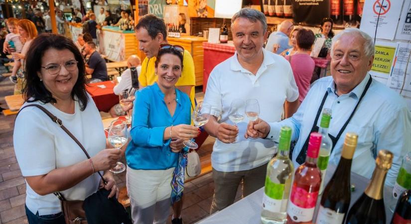 Szekszárdi Szüreti Napok: kiváló reklámja volt a városnak és a vármegyének (fotókkal, videóval)