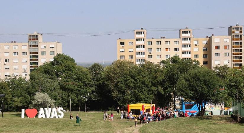 Kutyás rémálom Miskolcon: egy szempillantás alatt történt az eset
