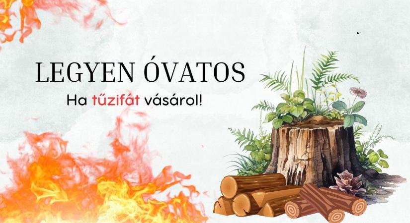 Tűzifaárus csalók csaptak le egy bakonyi idős asszonyra