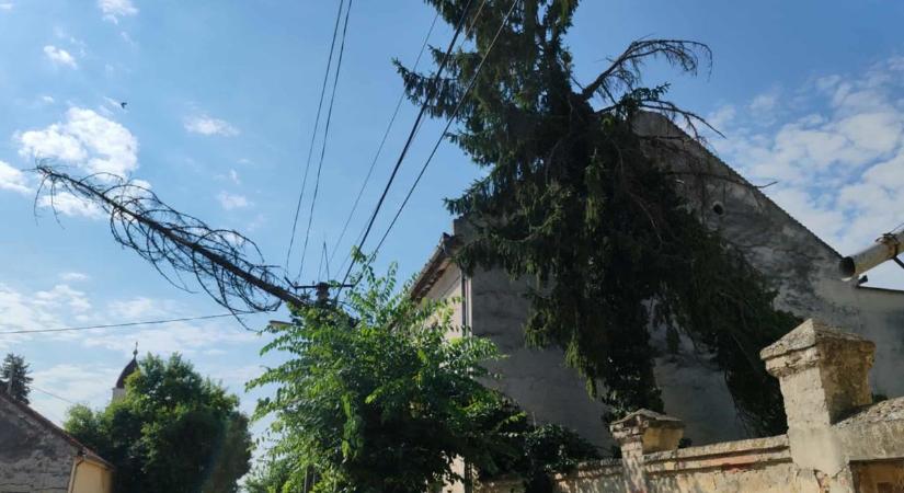 Kontár "favágó" miatt dőlt egy óriási fa a kerítésre, de más kárt is okozott