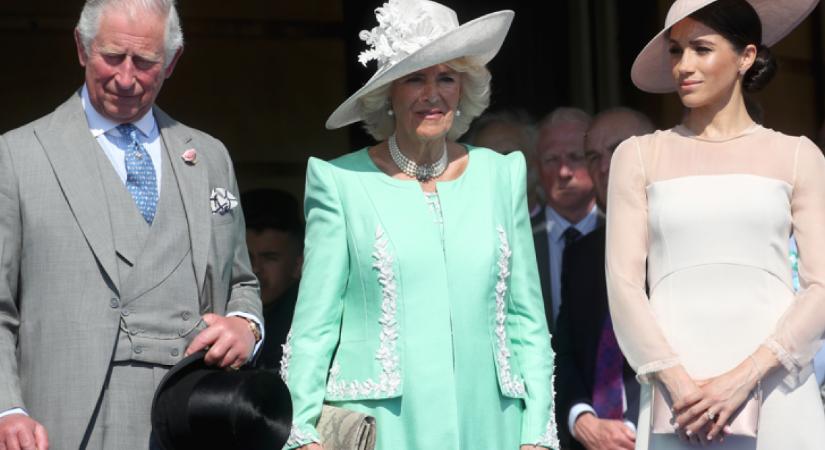 Meghan felhívta Károlyt: a király ledöbbent attól, amit mondott neki