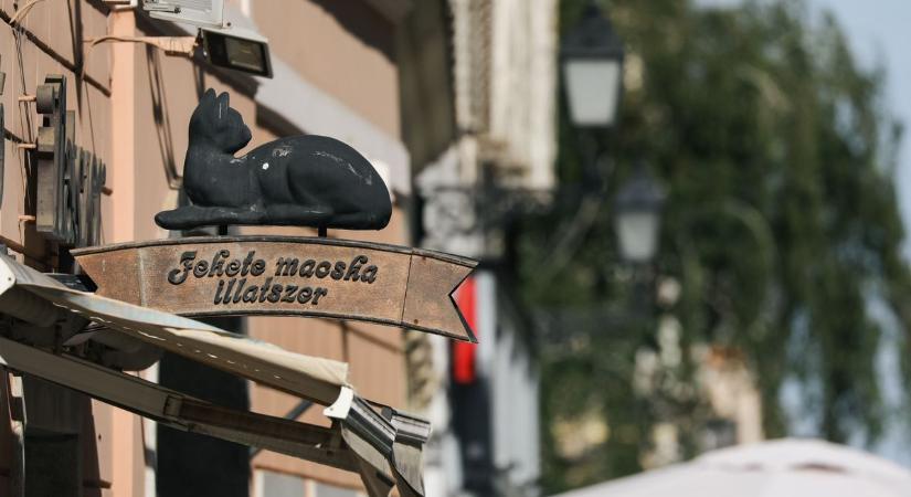 Negyven éves a Fekete Macska - Azok a boldog kilencvenes évek