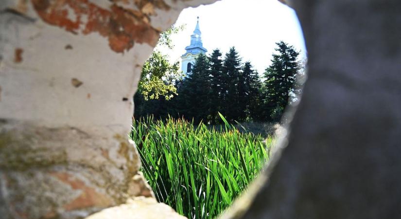 Négyszáz éves fák, különleges fajok, csodálatos fotókat és videót hoztunk a Tiszakürti Arborétumból