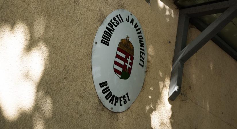Belzebub-vád, Zsolti bácsi, pedofília – mit tudni a Szőlő utcai botrányról?