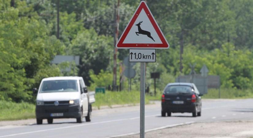 32 éves nő ügye kavarta fel a kedélyeket Miskolcon