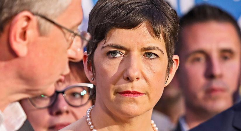 Dobrev Klára 10 millióval csalja csapdába a „pedofil politikusokat” – politikai játszma Gyurcsány szellemében?