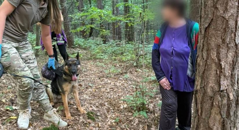 Huszt környékén a szolgálati kutya, Ivi, megtalálta az erdőben eltűnt nőt