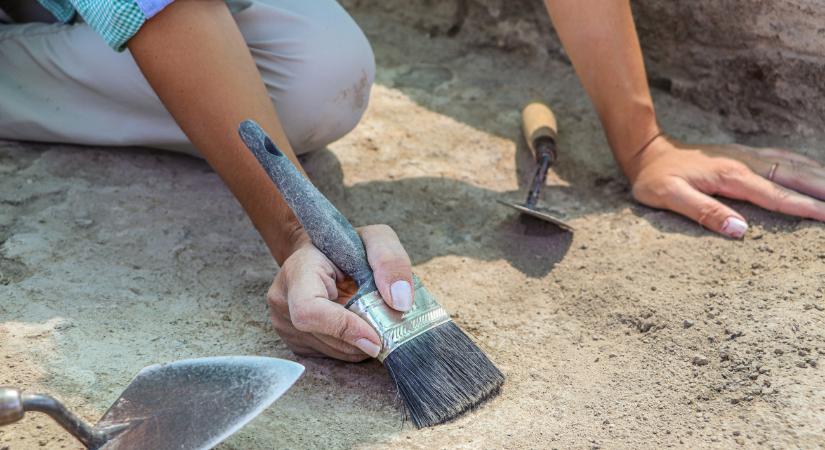 Különleges őslénytani leletekre bukkantak Sümegen – képek