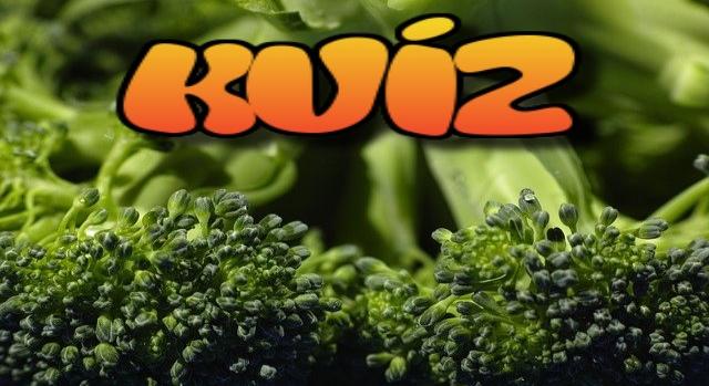 Tudáspróba kvíz: Hogy sikerül? Tudod mind a 10 kérdésre a jó választ?