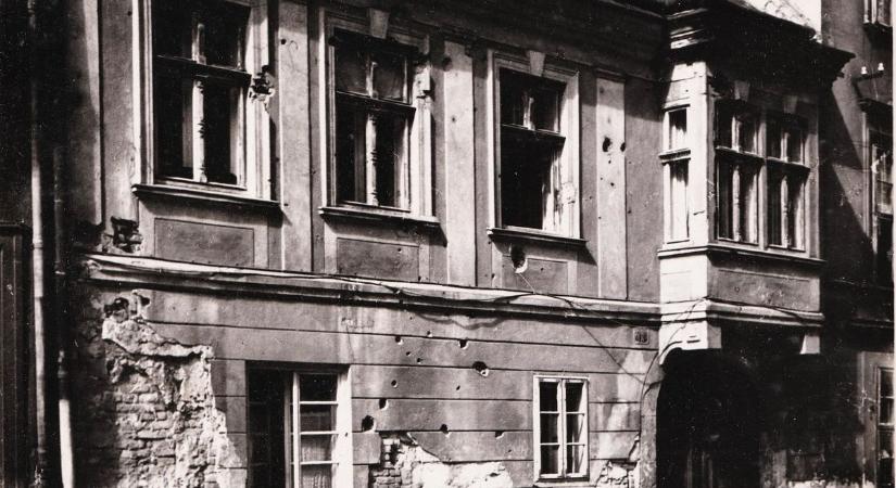 Győrben született a világhírű tudós, aki forradalmasította az orvostudományt