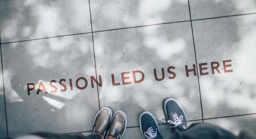 Newcomers, new legal roles: legal innovation consultant
