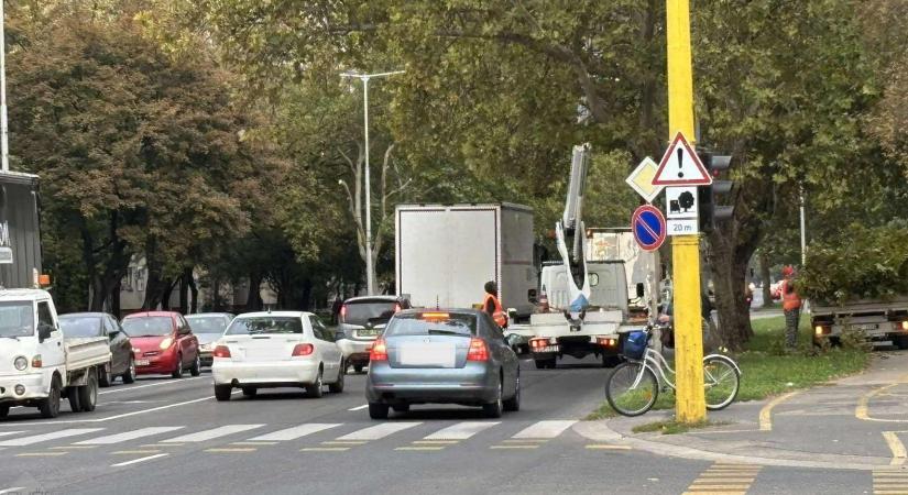 Gallyaznak a Szigethy Attila úton