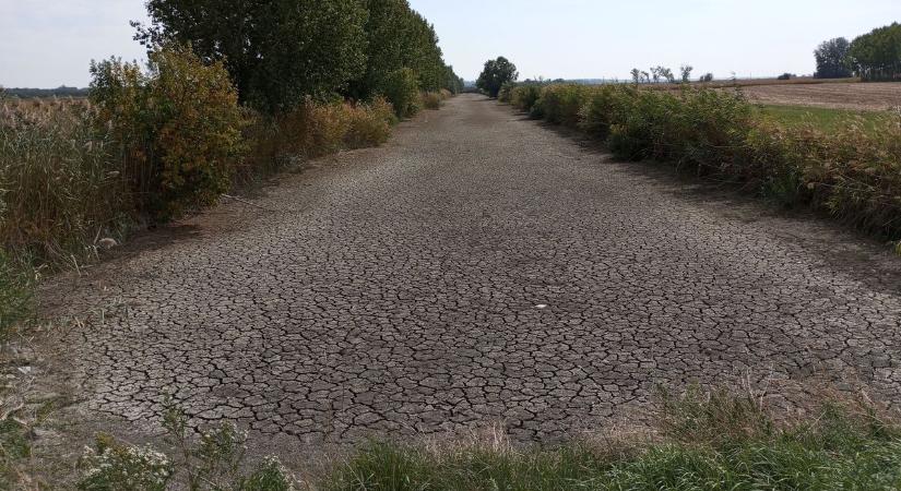 Kiszáradt a Malom-csatorna, vízhiány bénítja a cecei tájat (Videó)