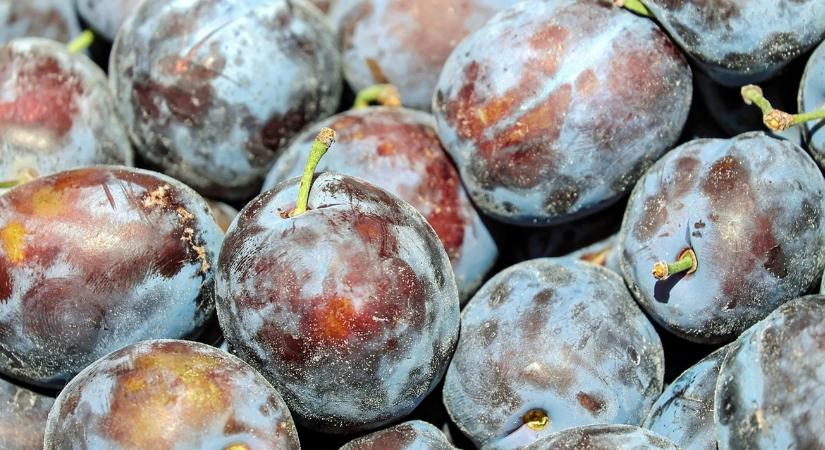 Negyedével drágult ez a gyümölcs – Érik a piaci átrendeződés?