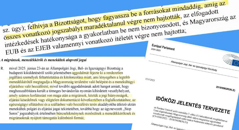 Magyar Péter brüsszeli kollégái azt követelik, hogy a határvédelem miatt fagyasszák be a Magyarországnak járó uniós forrásokat!