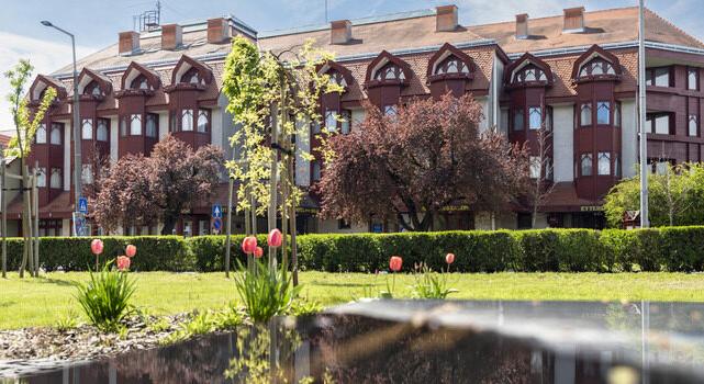 SZENIOR ÉLETMÓDTÁBOR – Mozgás, feltöltődés a nagyatádi Hotel Solar-ban