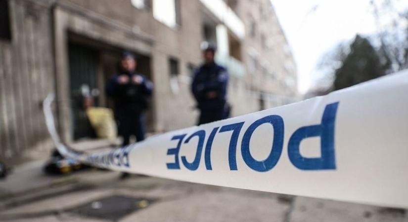 Szörnyű gyanú: saját testvérét erőszakolhatta meg a 20 éves fiú