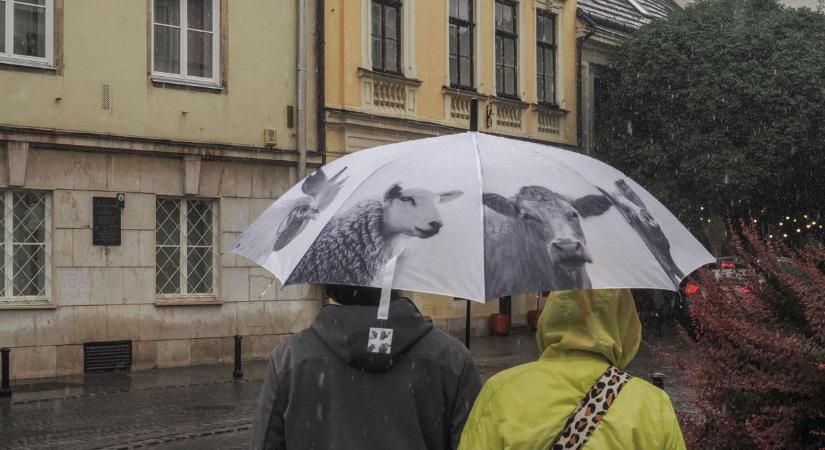 Veszprém megkapta az első őszi gyomrost az időjárástól, erre lehet készülni