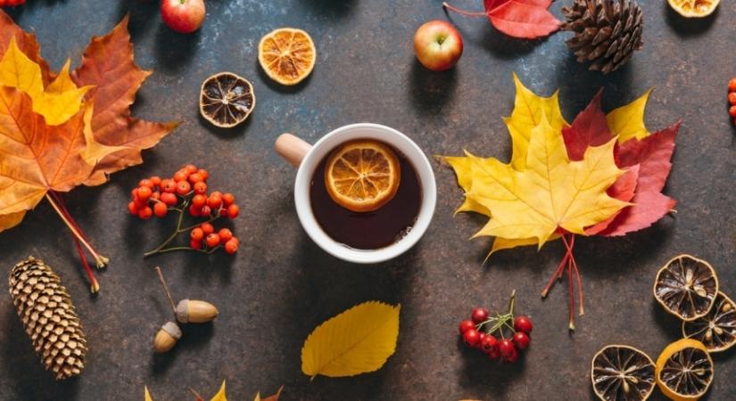 Ettől a fűszeres teától otthonod minden zuga őszi illatokat fog árasztani: próbáld ki!