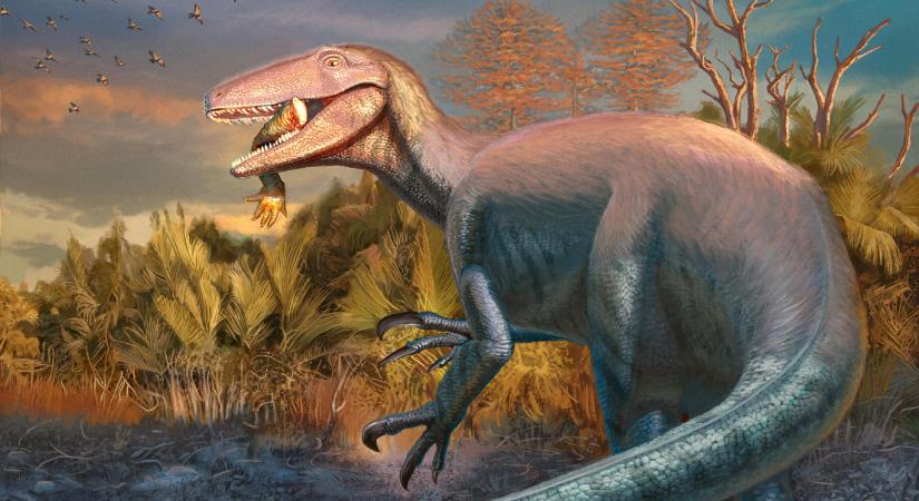 Krokodillal a szájában találtak rá egy dinoszauruszra Argentínában