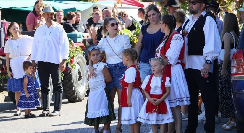 Rekordszámú látogatót vonzott a szüreti nap Dunakömlődön (képgalériával)