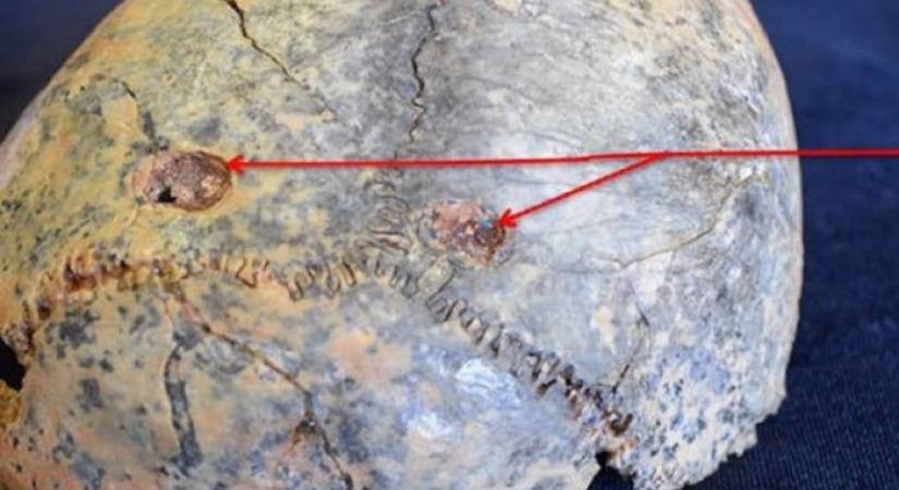 Inkább zsákmány, mint vadász volt a Homo habilis