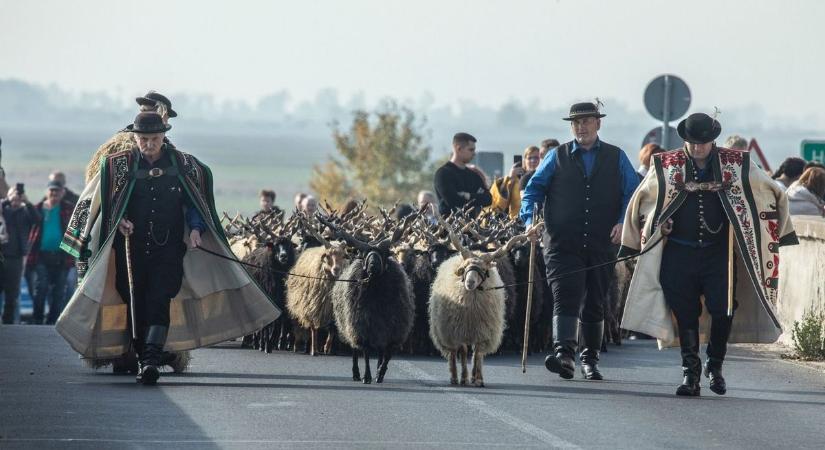 Megvan az időpont, ekkor rendezik a behajtást a Hortobágyon!
