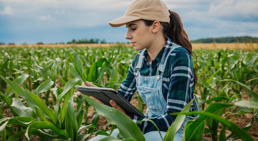 Megszólalt a szakértő: itt a megoldás a magyar agrárium nagy problémájára?