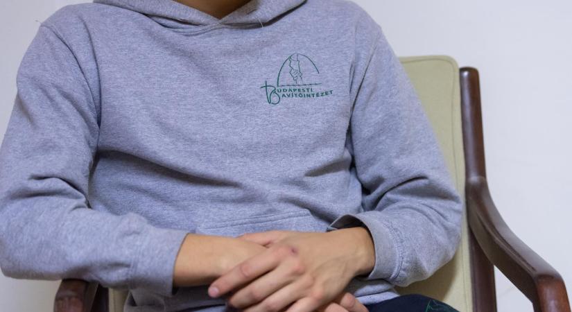 NER-káderek közelében is feltűnt a Szőlő utcai javítóintézet igazgatója
