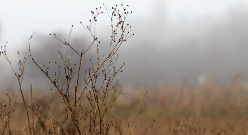 Borongós ősz egyre hidegebb hajnalokkal