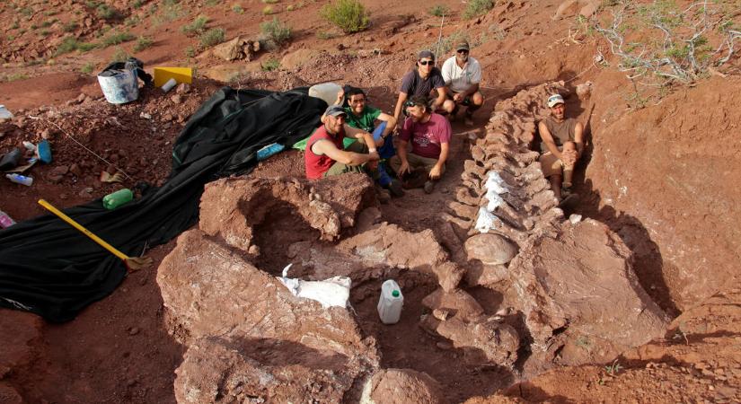 Ginantikus dinoszauruszt találtak Argentínában