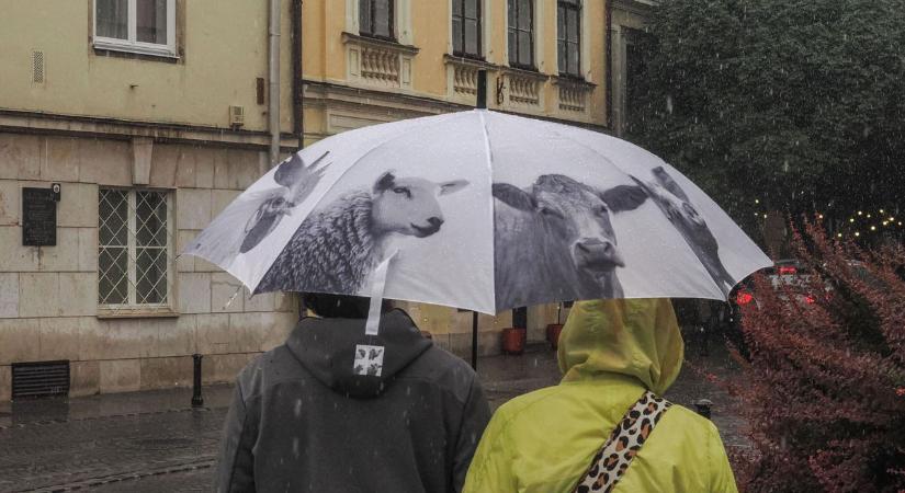 Csütörtökön szükségünk lehet az esernyőre