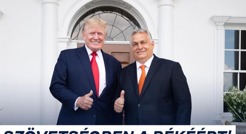 A király meztelen, lassan lefőtt a kávé