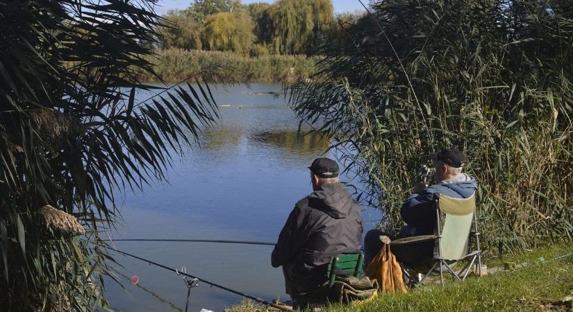 Sokan nem hiszik el, hogy ilyen halat lehet fogni a Tisza-tóból – videón a horgászok hatalmas, lógó hasú álma!