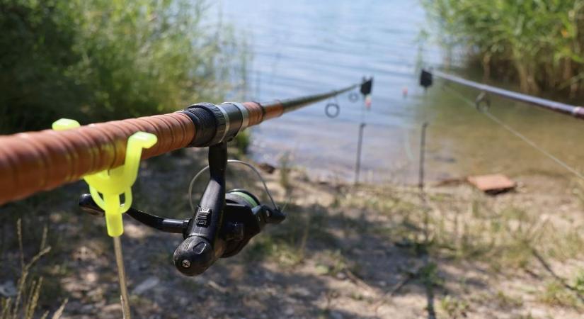 Akkora halat fogott a Tisza-tavi horgász, hogy felemelni is alig bírta – videóval