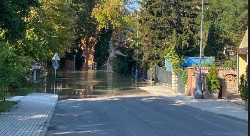 Esztergom hősiesen küzdött az árvízzel, fotókon a Duna áradása