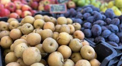 Új biopiacot üdvözölhet Óbuda – Megnyitja kapuit a Farmers Market BiObuda
