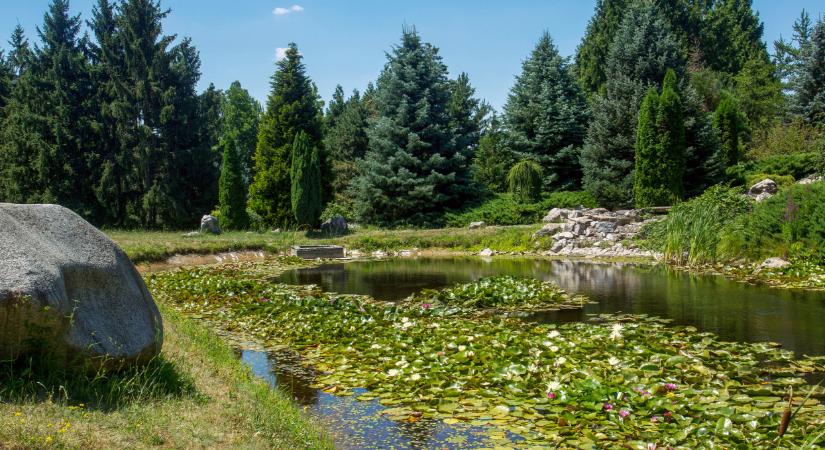 Bezár az ország egyik legkedveltebb arborétuma: a klímaváltozás kipusztítja a fákat