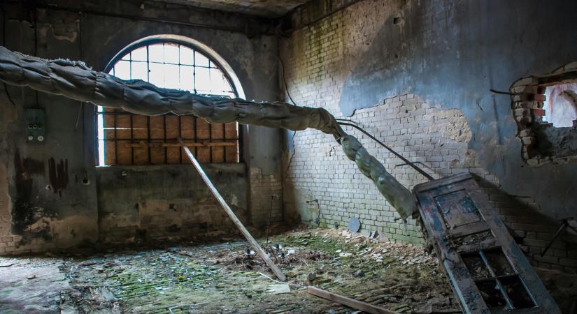Döbbenetes: Nem fogod elhinni, mit talált a pincéjében a rémült nő!