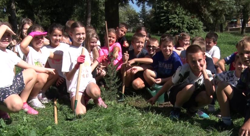 Fát ültetnek, komposztálnak és kiskertet gondoznak a Palini Iskola tanulói