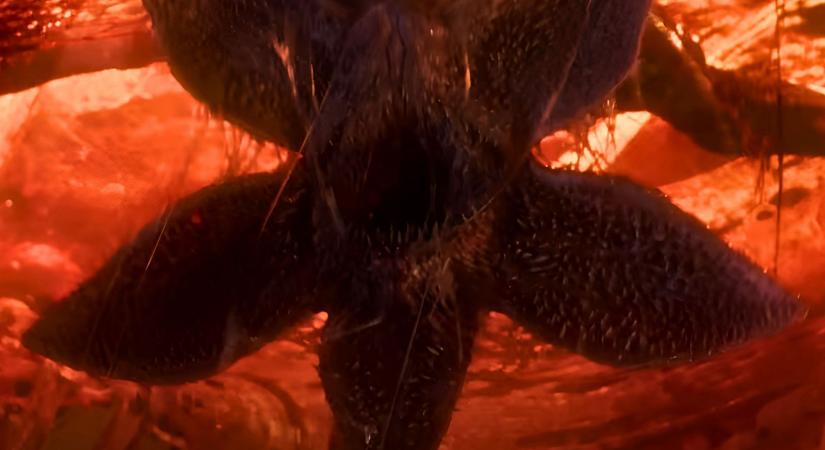 Netflix: Vadonatúj videóval hangol a platform a Stranger Things 5. évadára