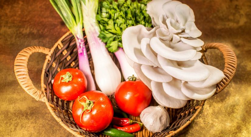 Az agrárkamara a hazai gombapiac stabilizálódására számít a következő hónapokban