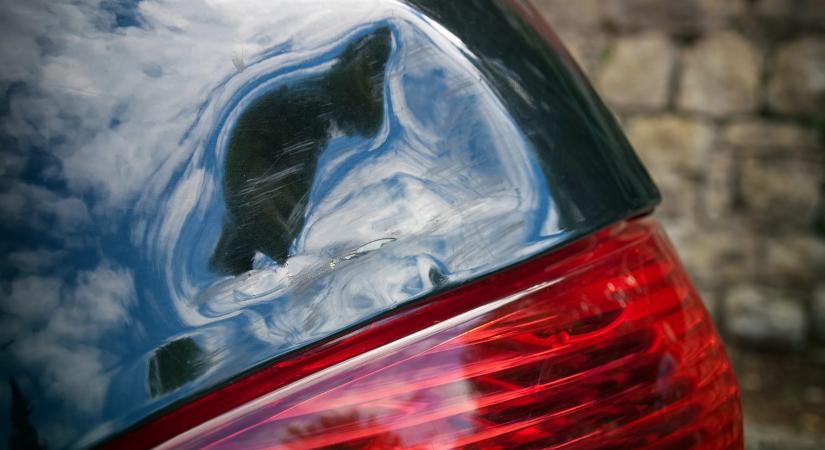 Lassító Audinak ütközött a győri bringás