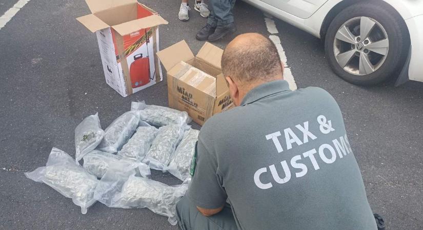 Csaknem öt kiló fűvel bukott le egy román busz az M7-esen