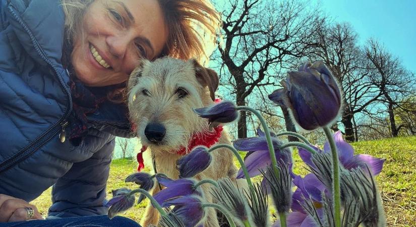 Mély gyászban van Barabás Évi, az RTL bonyhádi műsorvezetője