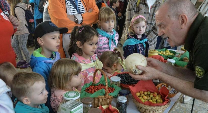 Gyermekcsoportok kígyózó sora várta, hogy bejusson a mátrafüredi nyílt napra