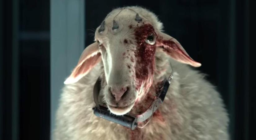 Véget ért az Alien: Föld első évada, de mi a helyzet a folytatással?