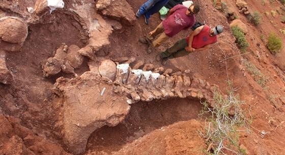 Gigantikus dinó csontvázát találták meg Argentínában