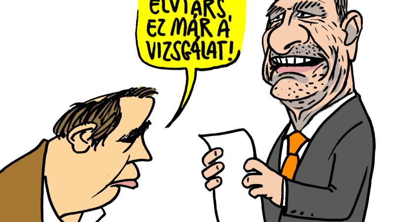 A tanú